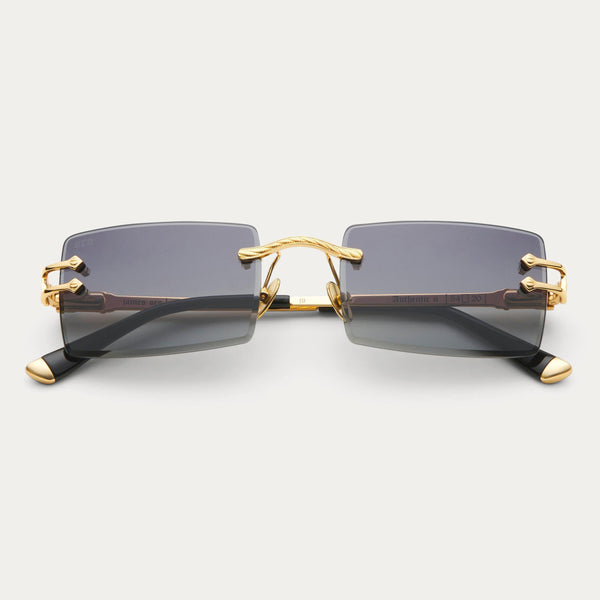 JAMES ORO BLK-GLD-AUT Black Tint Authentic II BLACK